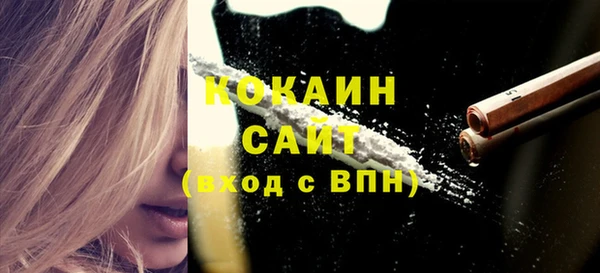 крисы Арсеньев