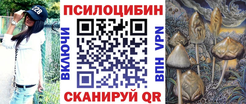 Псилоцибиновые грибы Psilocybine cubensis  Волжск 